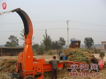 搶抓農(nóng)時(shí)促轉(zhuǎn)化，市畜牧局多措并舉推廣秸稈青貯飼料助力畜牧漁業(yè)降本增效